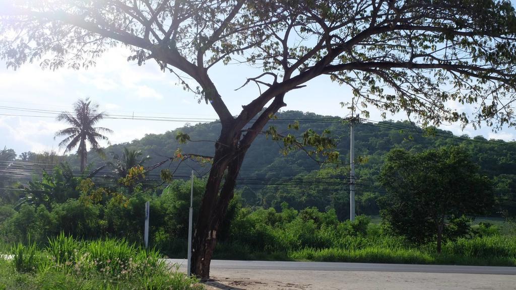 Dream House Hotell Pran Buri Eksteriør bilde